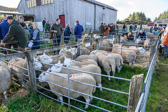 231002 Lairg013