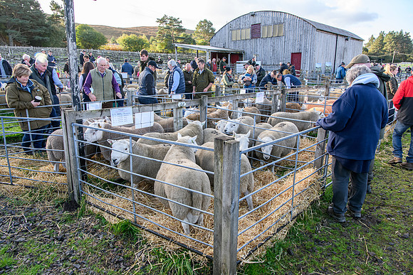 231002 Lairg015