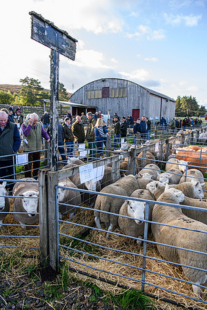 231002 Lairg017