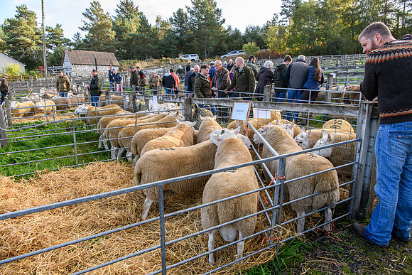 231002 Lairg020