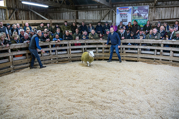 231002 Lairg046