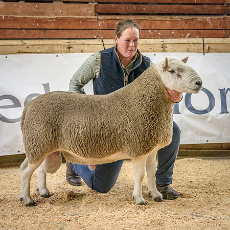 231002 Lairg - Allen Stouphill - £12000 #3