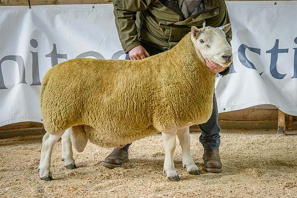 231002 Lairg - Attonburn Cocaine - £14000