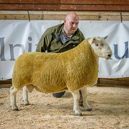 231002 Lairg - Attonburn Crackhead - £11000 #2