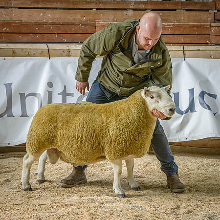 231002 Lairg - Attonburn Crackhead - £11000 #3