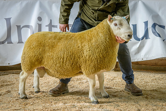 231002 Lairg - Attonburn Crackhead - £11000 #4