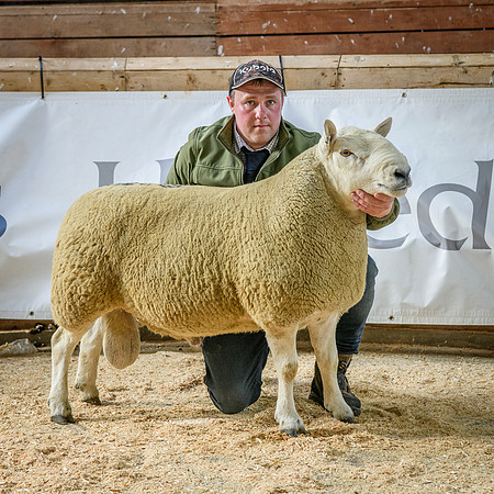 231002 Lairg - Inkstack - £11000 #3
