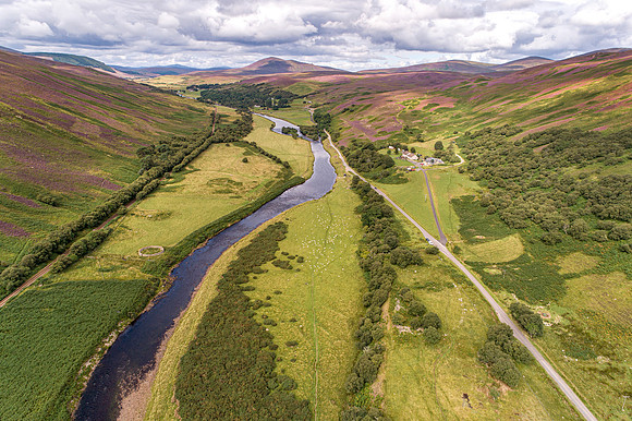 240820 Torrish 053