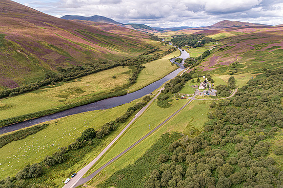 240820 Torrish 062