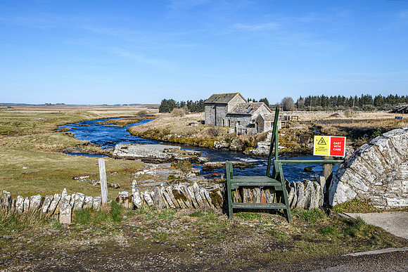 220319 Westerdale 013