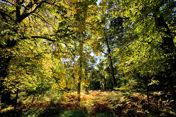 _DSC2767 copy (1) copy