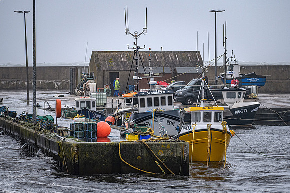 231019 Lybster Harbour 077