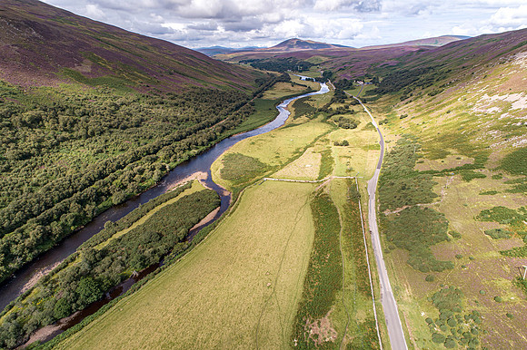 240820 Torrish 009