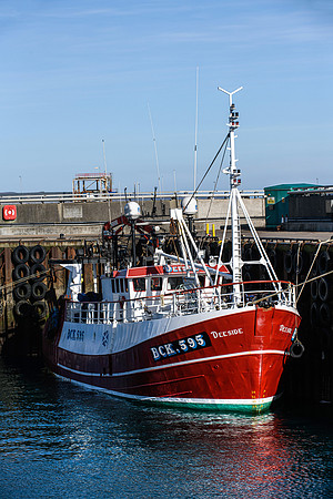 220319 Scrabster 037