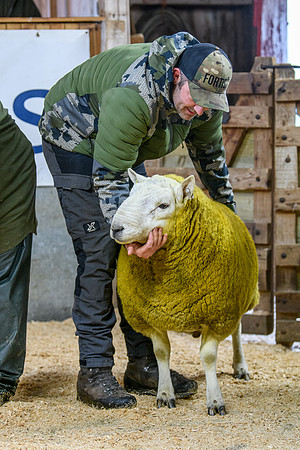 231104 Lairg Hill Show 026