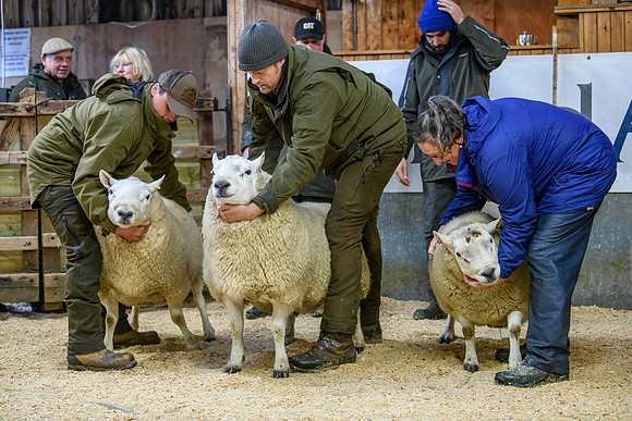 231104 Lairg Hill Show 027