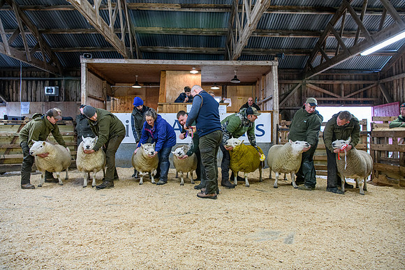 231104 Lairg Hill Show 029