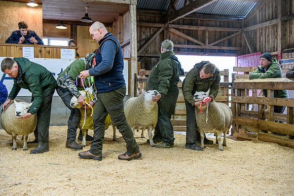 231104 Lairg Hill Show 028