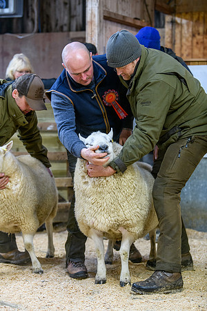 231104 Lairg Hill Show 031