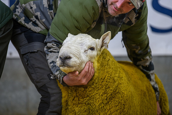 231104 Lairg Hill Show 032