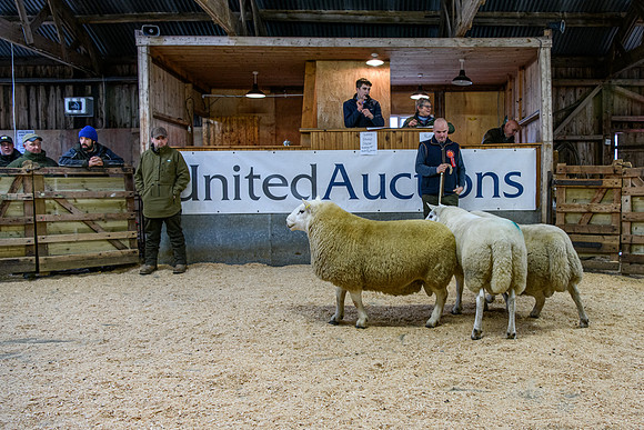 231104 Lairg Hill Show 037