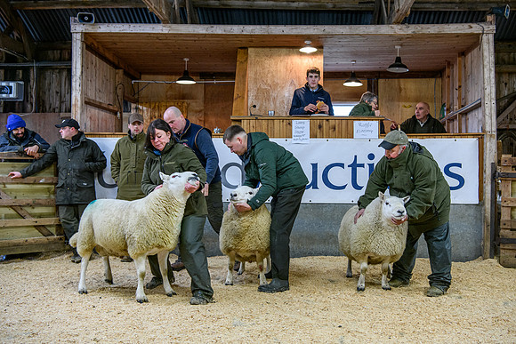 231104 Lairg Hill Show 038