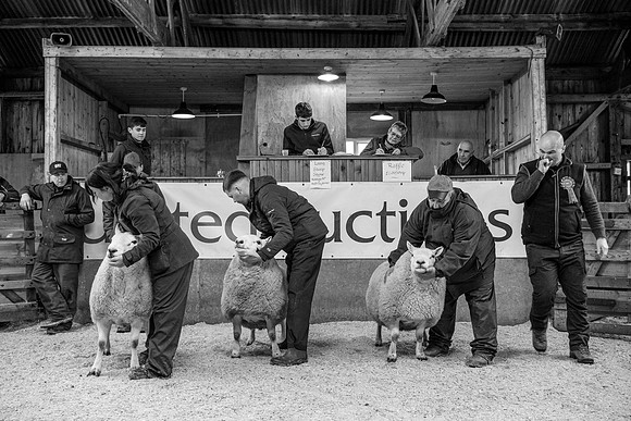 231104 Lairg Hill Show 040