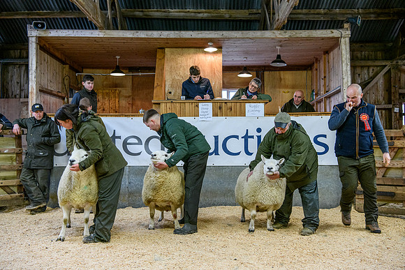 231104 Lairg Hill Show 041