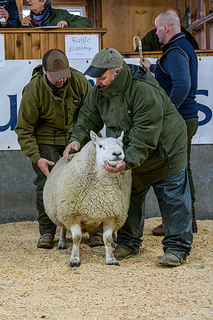 231104 Lairg Hill Show 047