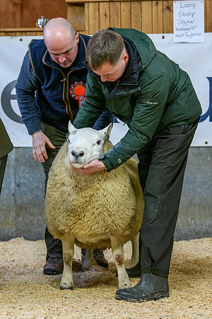 231104 Lairg Hill Show 049