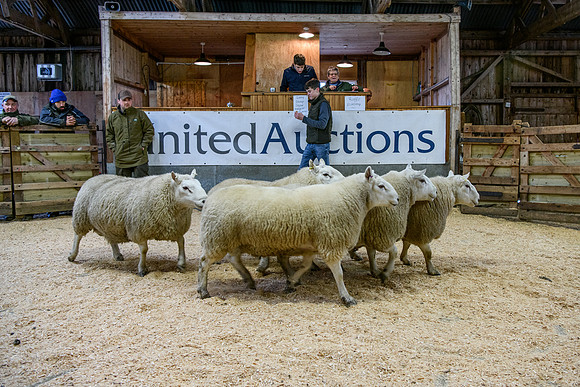 231104 Lairg Hill Show 052