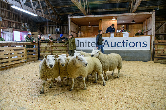 231104 Lairg Hill Show 054