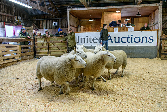 231104 Lairg Hill Show 055