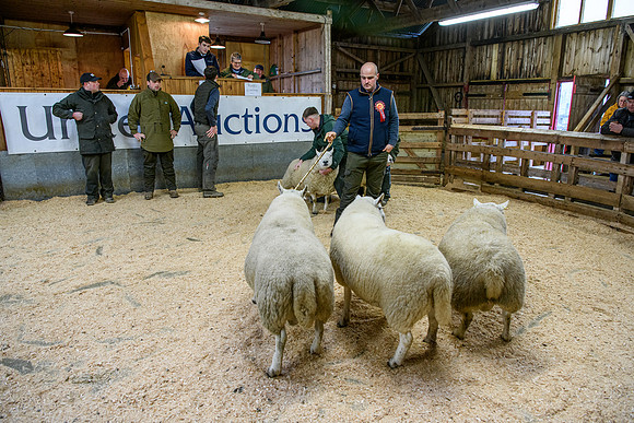 231104 Lairg Hill Show 057