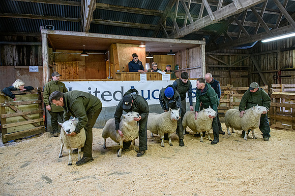 231104 Lairg Hill Show 064