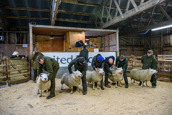 231104 Lairg Hill Show 065