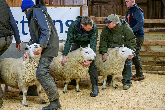 231104 Lairg Hill Show 068