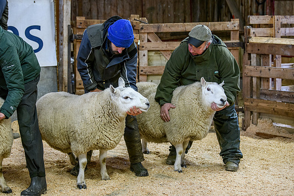 231104 Lairg Hill Show 069