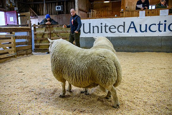 231104 Lairg Hill Show 070