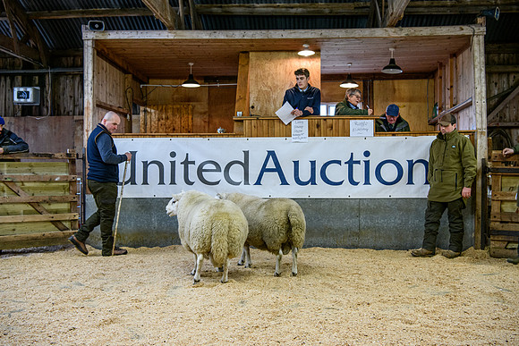 231104 Lairg Hill Show 072