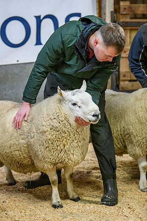 231104 Lairg Hill Show 076