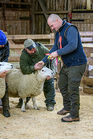 231104 Lairg Hill Show 079