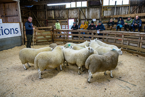 231104 Lairg Hill Show 081