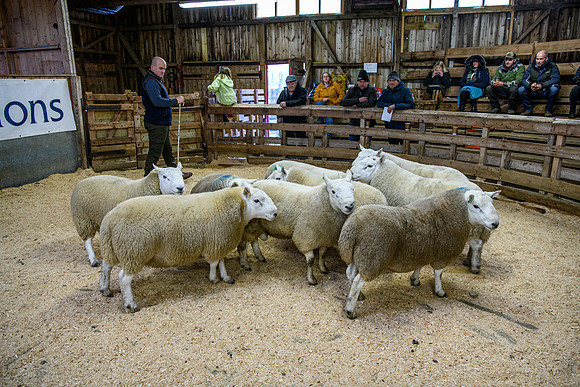 231104 Lairg Hill Show 082