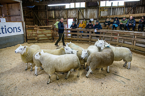231104 Lairg Hill Show 083