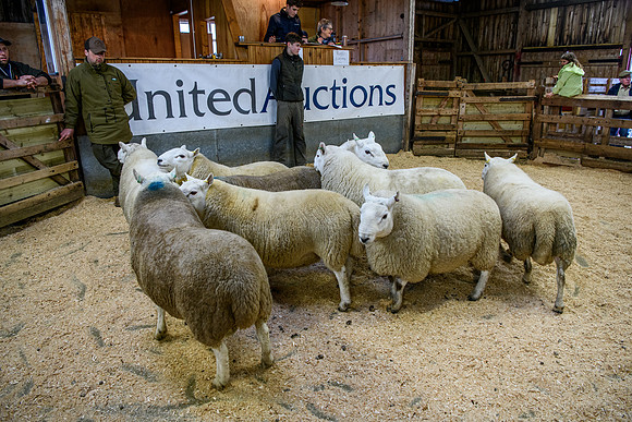 231104 Lairg Hill Show 085