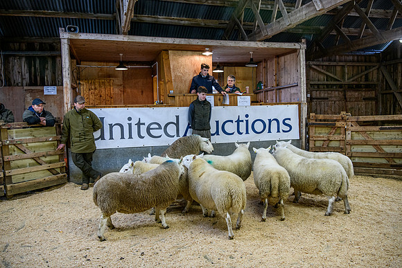 231104 Lairg Hill Show 086