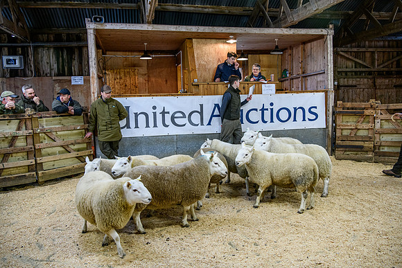 231104 Lairg Hill Show 087