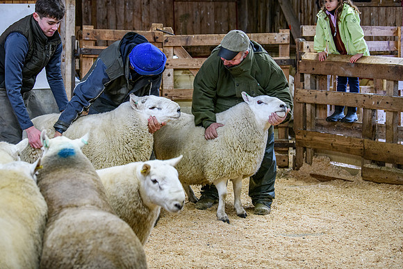231104 Lairg Hill Show 101