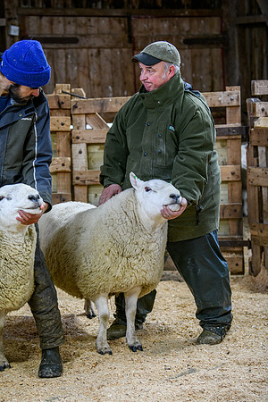 231104 Lairg Hill Show 103